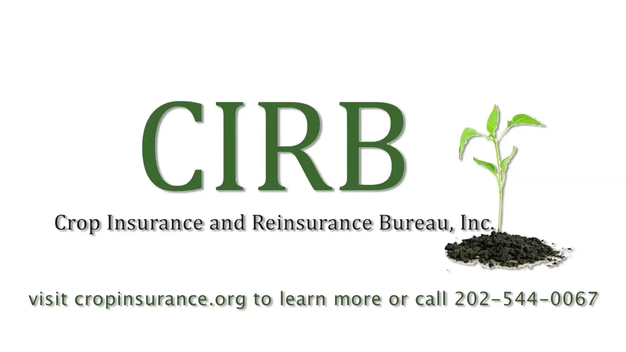 詳解保険業法 = Commentary Insurance Business … 詳解 保険業法〔第2版〕 | 吉田 和央 |本 | 通販 | Amazon