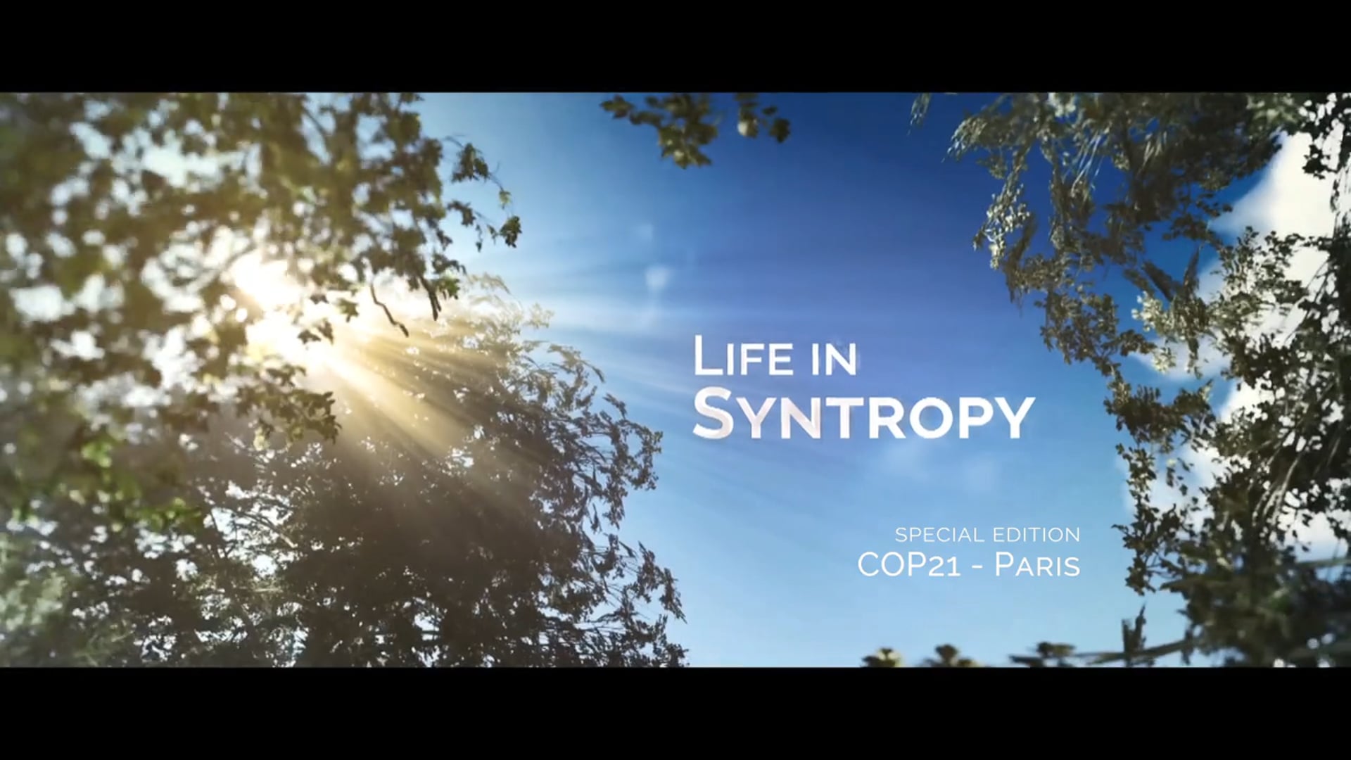 Life in Syntropy