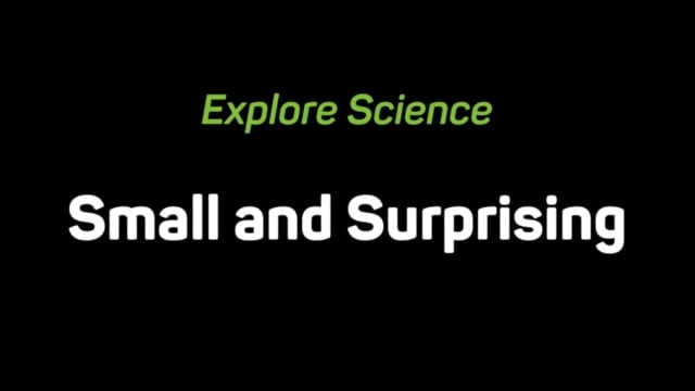 Small and Surprising