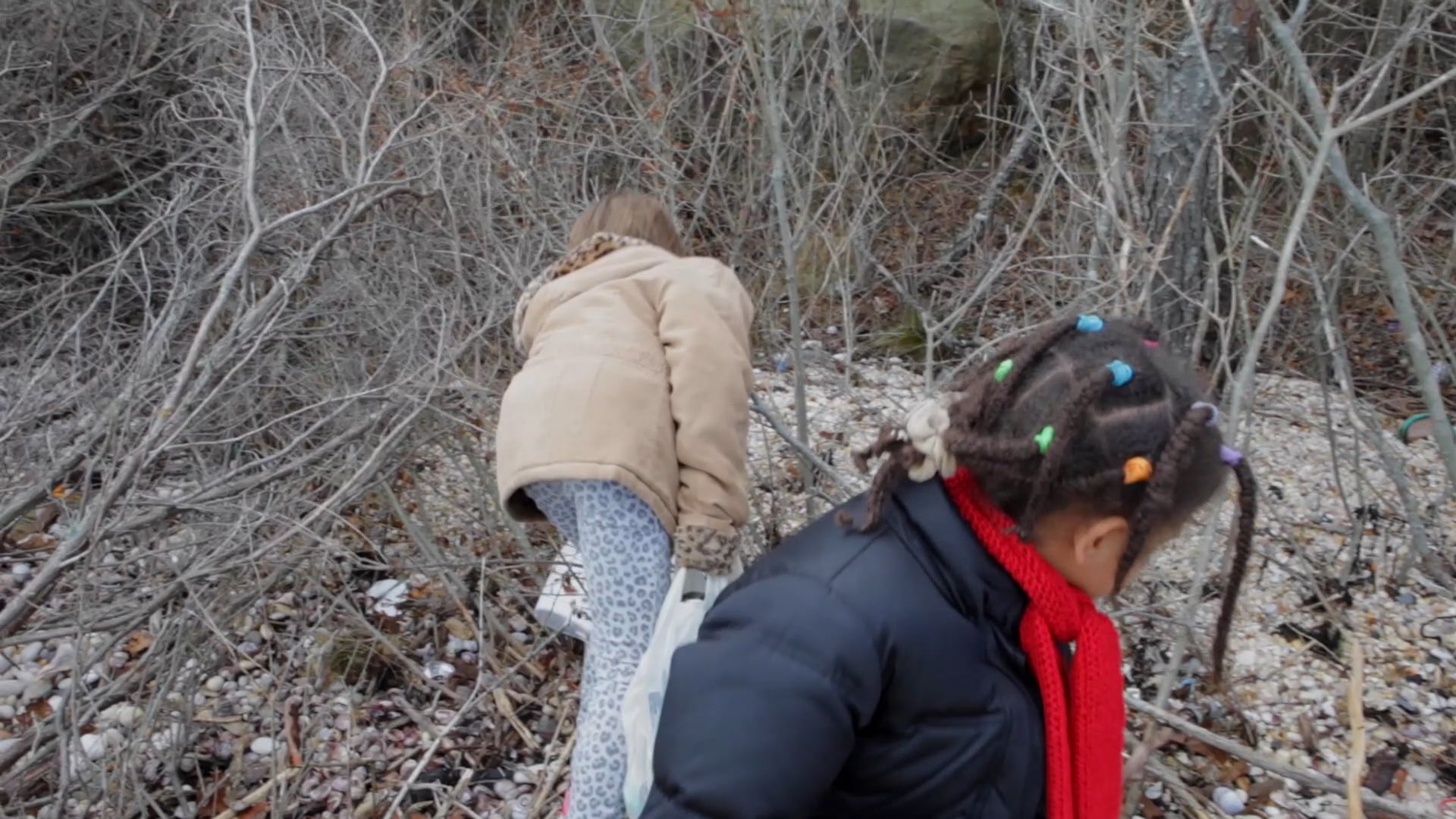 Cindy Pease Roe   Marine Plastic Awareness Project