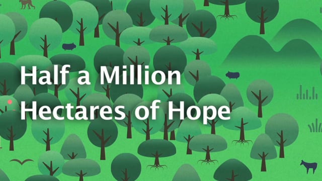 Half a Million Hectares of Hope