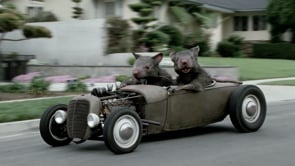 Orkin - Customer Success Story