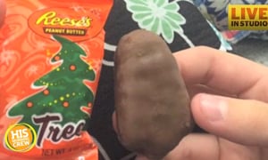 What Do You Think Reese's Trees Look Like?