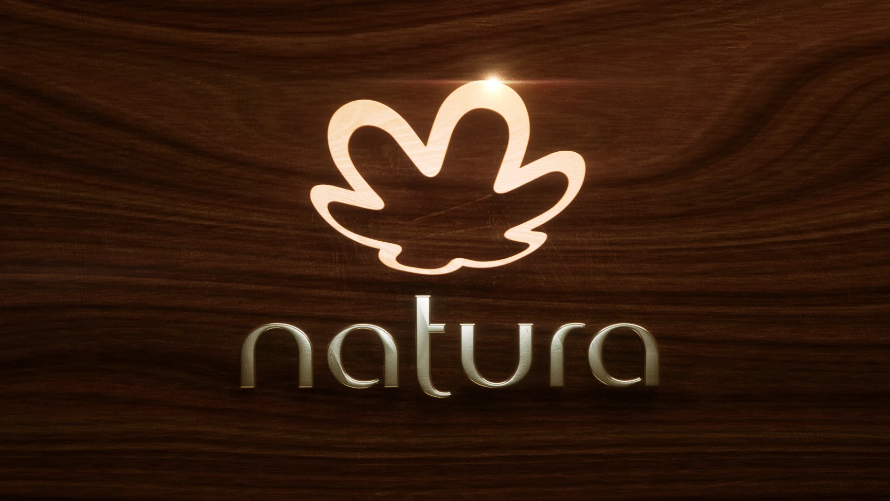 Natura / Logo Animation on Vimeo