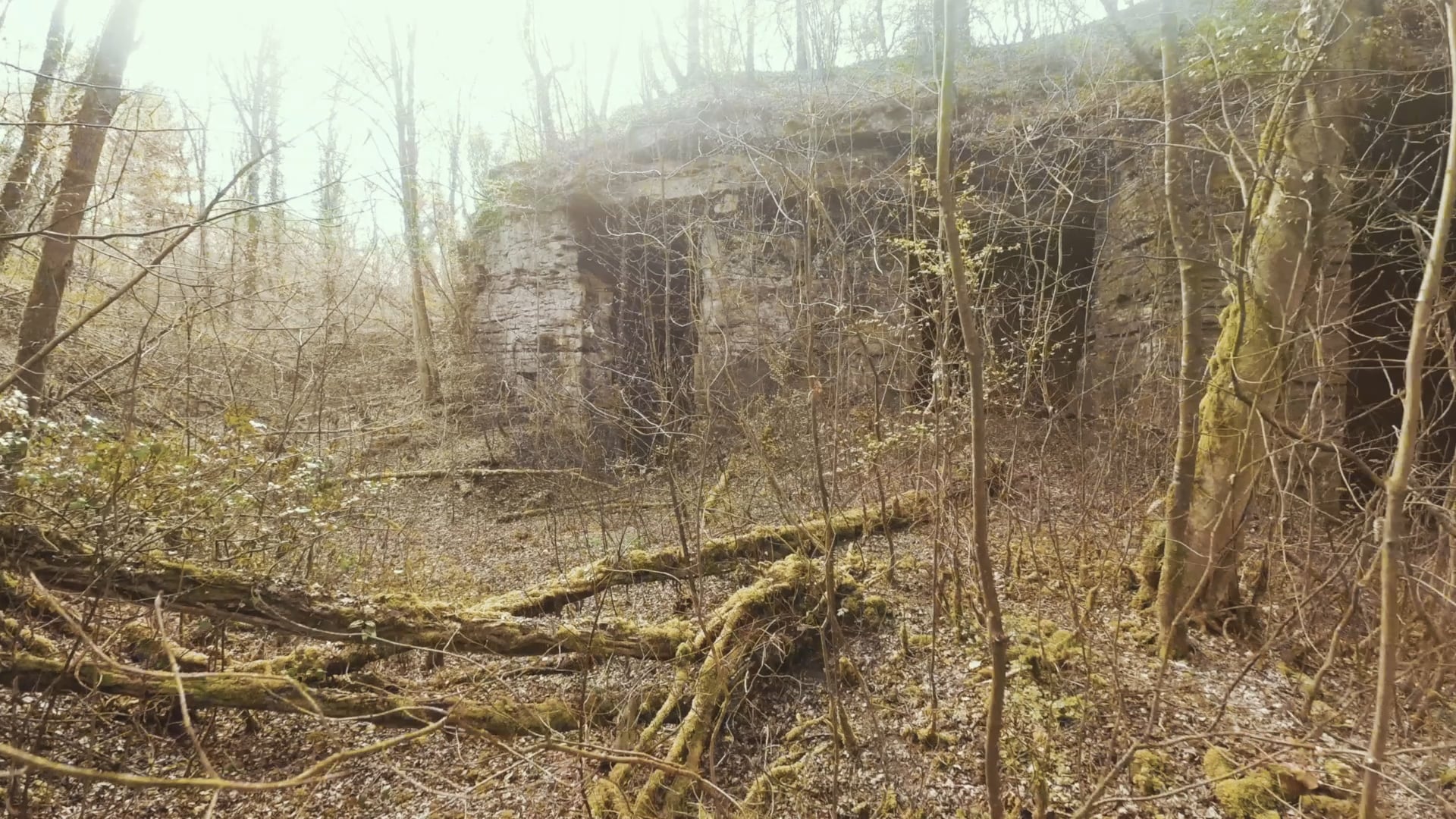If i was a bird (vidéo exclusivement drone)