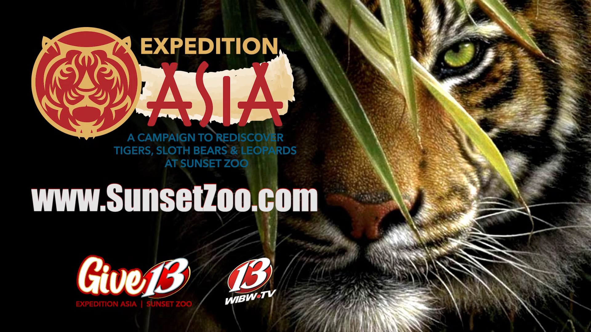 SUNSET ZOO EXPEDITION ASIA 04 on Vimeo