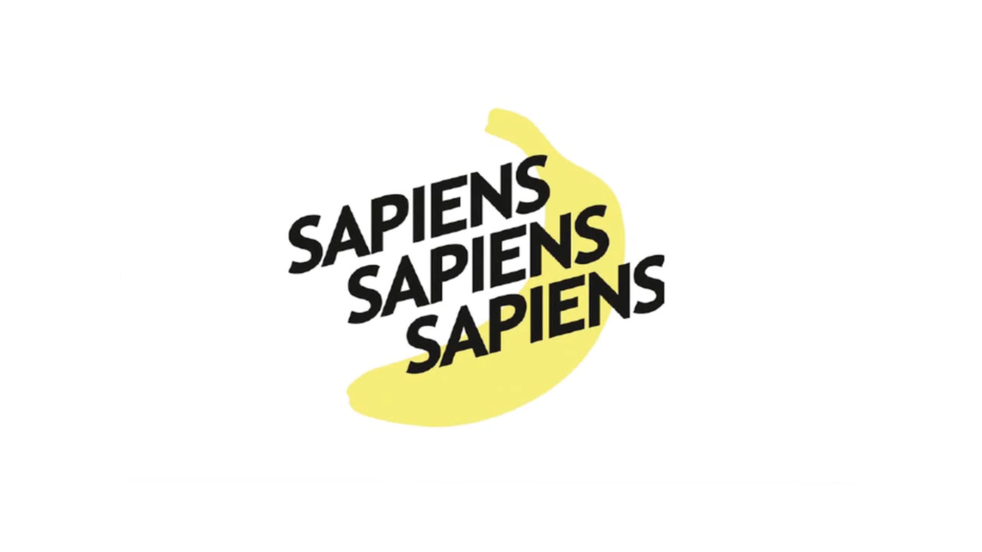 SAPIENS SAPIENS SAPIENS. Theatre show. Music by Xabier Mera.