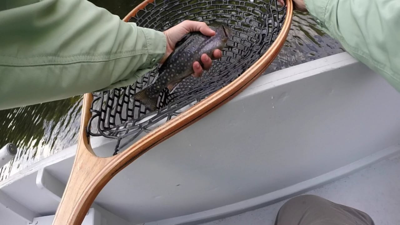 Lake Mansfield Trout Club 2015 on Vimeo