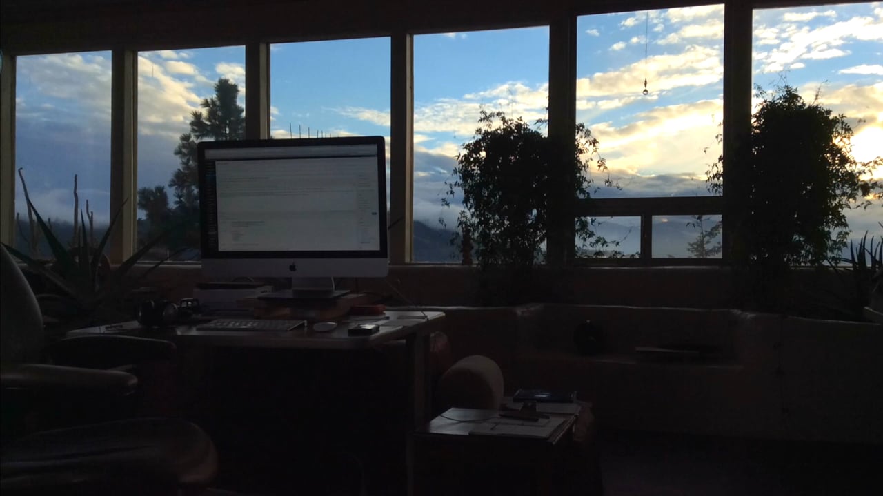 Twig Working the Sunset