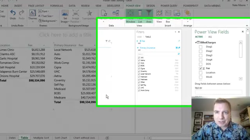 Excel Video 487 Power View Filtering Part 2