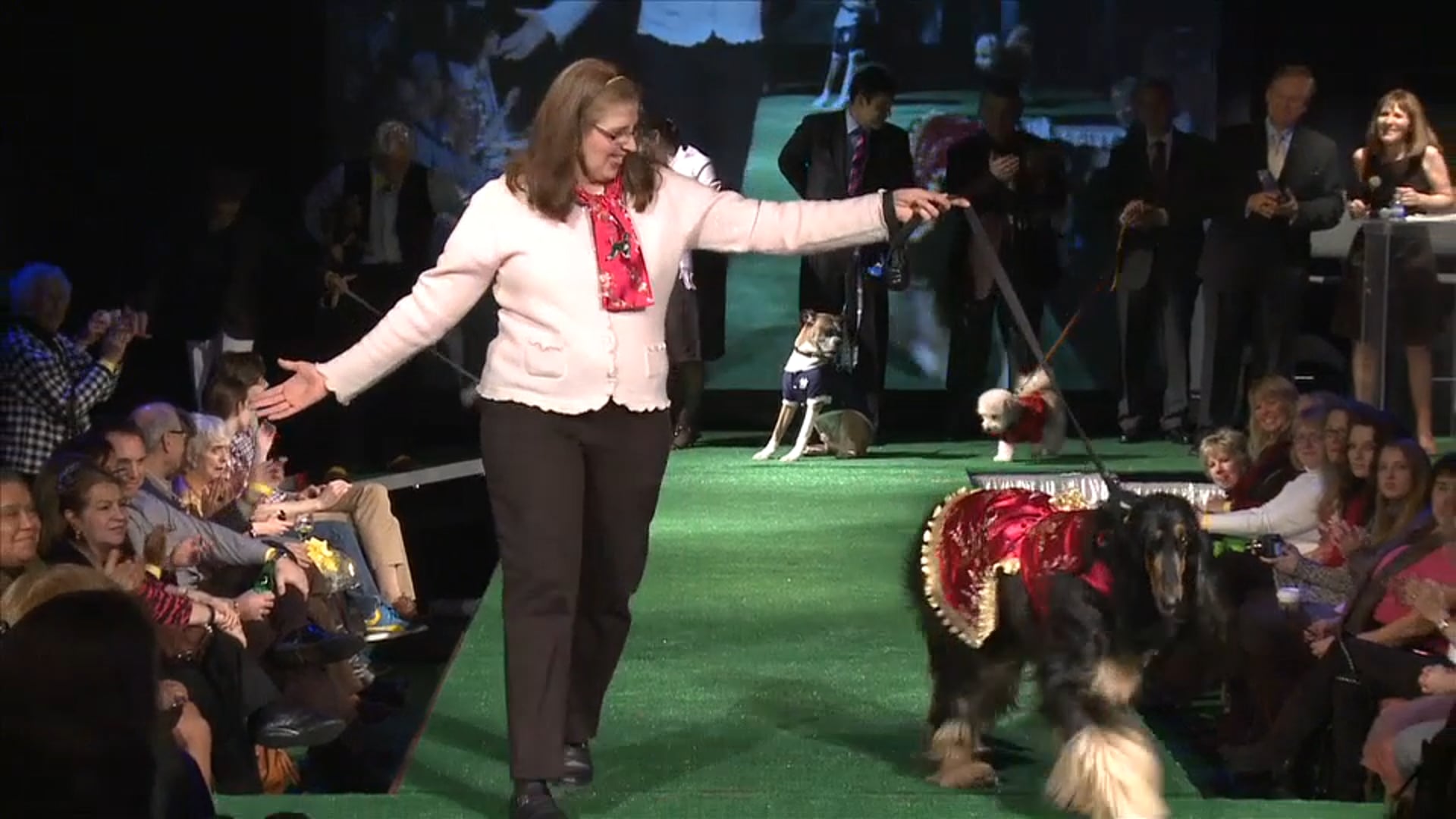 Model Pups - Go behind the scenes as thousand of dogs and their wacky owners vie to become the Fashion Runway Champion