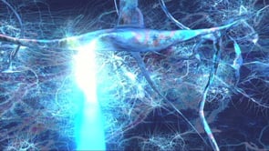 Understanding attachment – Brain development thumbnail