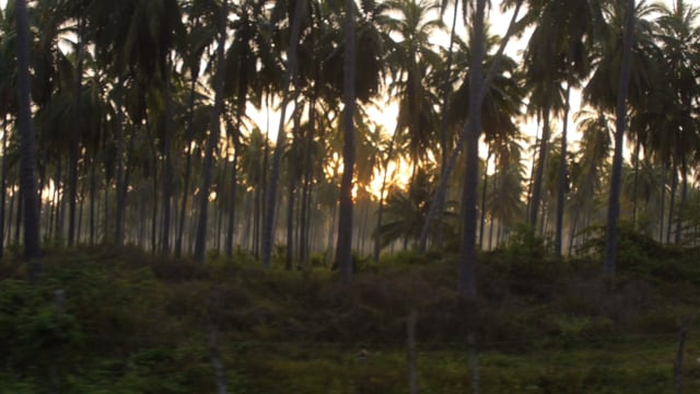 Yeti Clips from Meatball