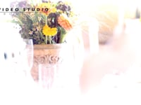 Tomáš Fekete - WEDDING clip 2015 SK