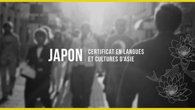 Certificat en langue et en culture d'Asie: Japon