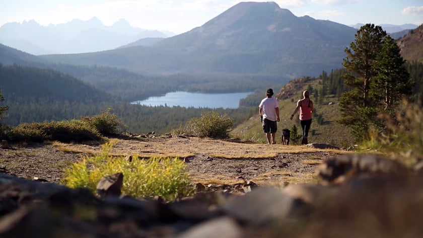 vimeo-video-thumbnail