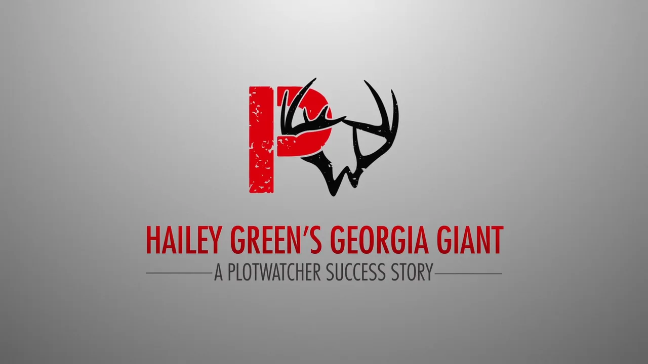 Plot Watcher - Hailey Green Story