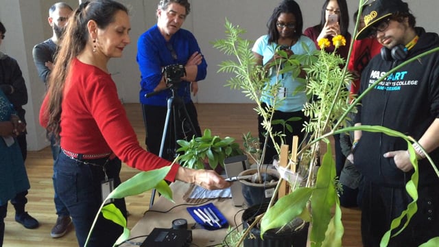 Damanhur singing plants Mass College of Arts with Dror Ashuah and Nancy Aleo