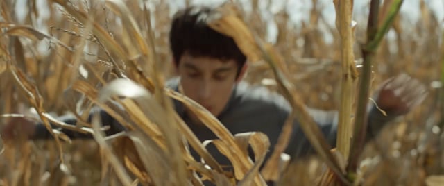 In the Shadow of the Cornfields (Short Film Trailer)
