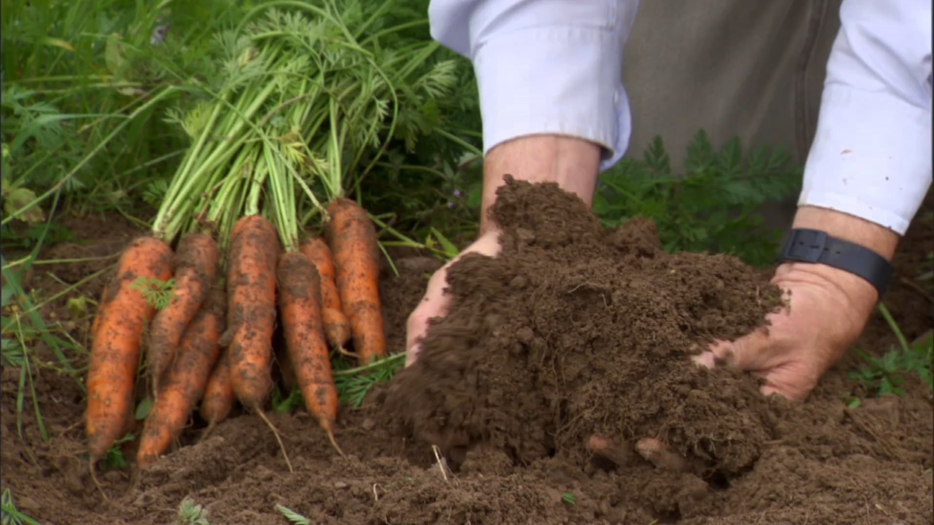 Watch Symphony of the Soil Documentary Film Online Vimeo On