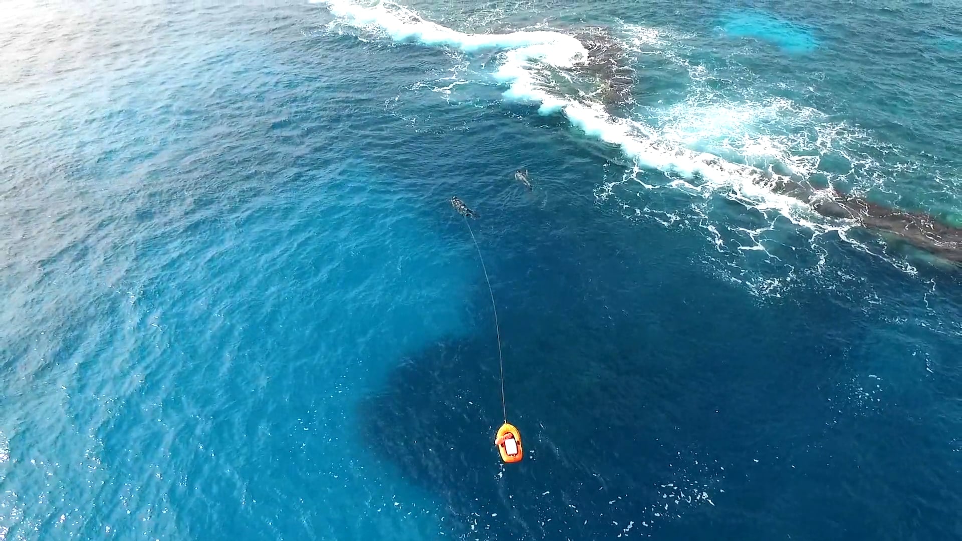 December Diver Invasion 2015 - Bermuda Ocean Explorers