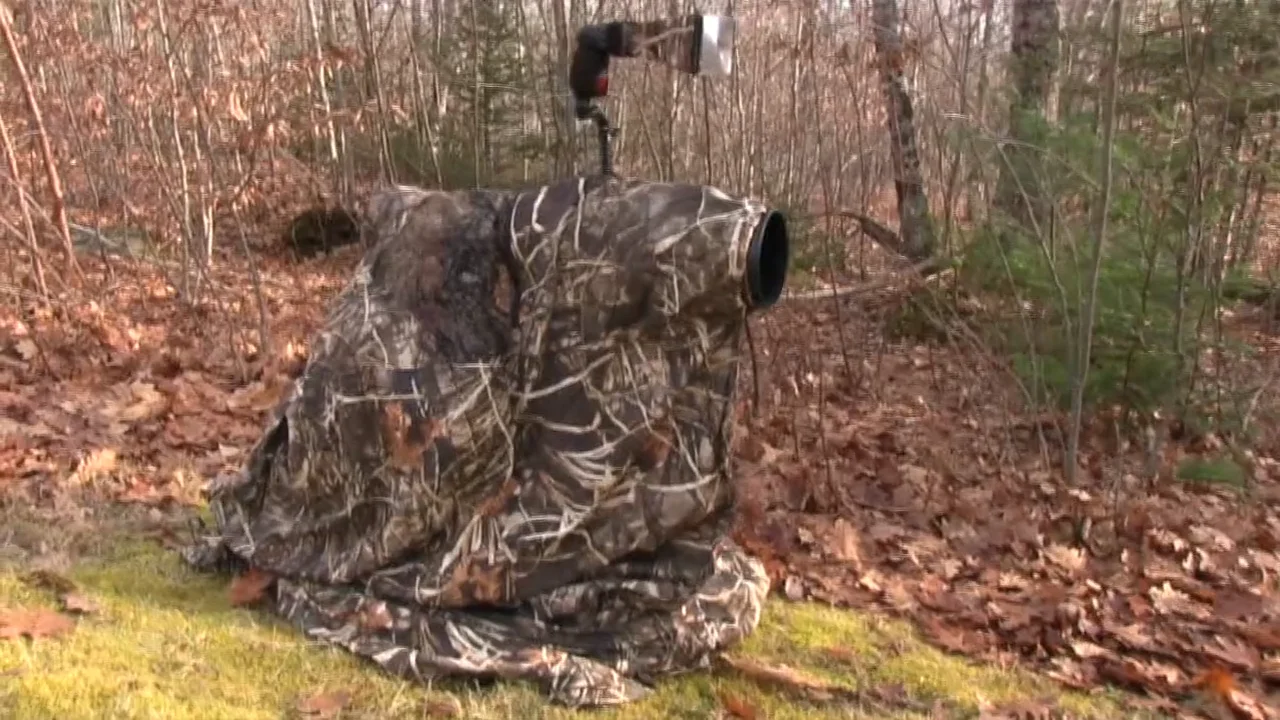 Photography Blinds for Wildlife Shooting | LensCoat