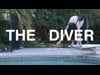 The Diver