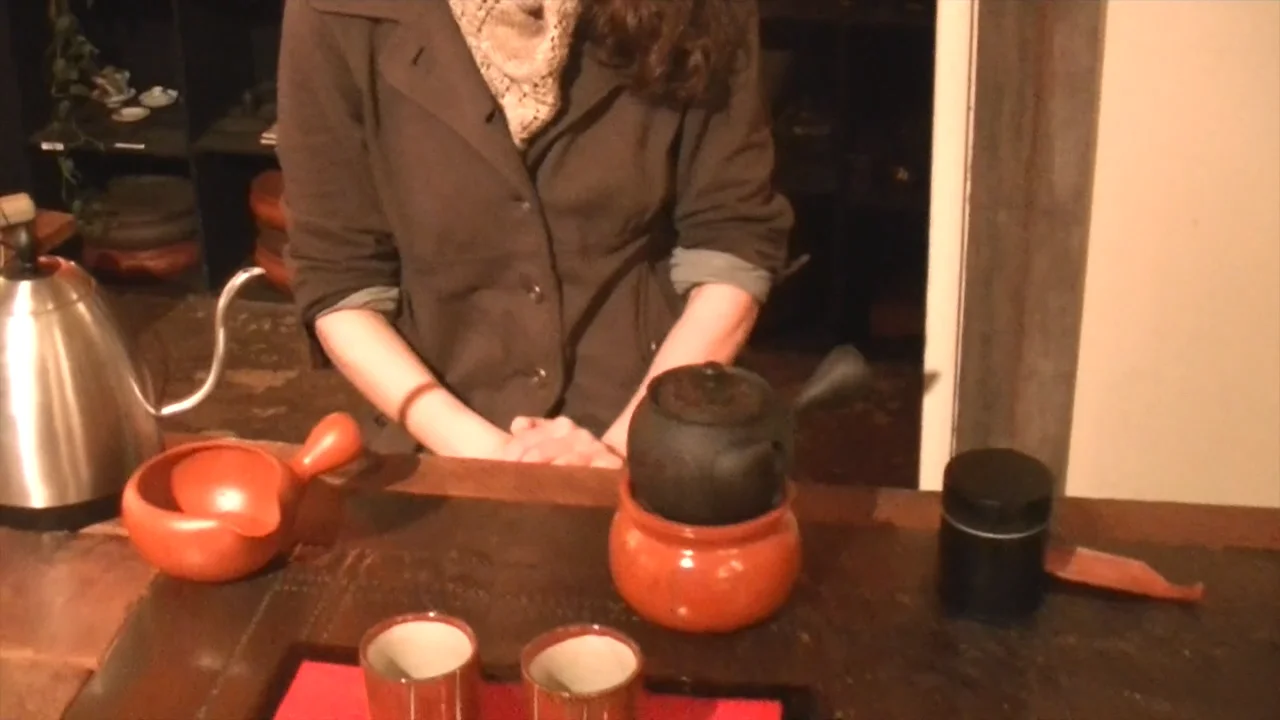 Yabukita Sencha - The Tao Of Tea