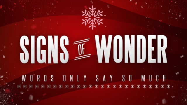 Signs of Wonder - ; - 12.13.15
