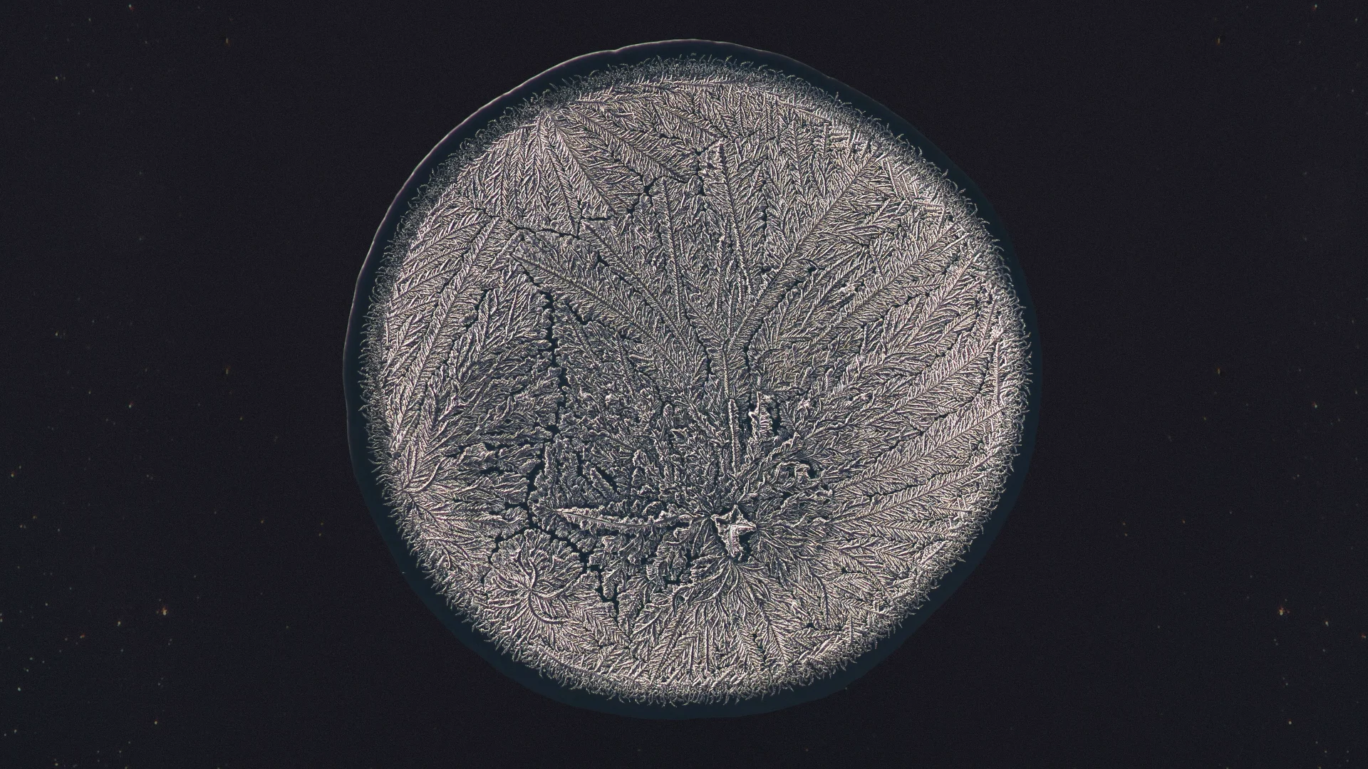 艺术总共分三步：1、放酵母2、发酵3、成了- 大数跨境, image size:1920x1080