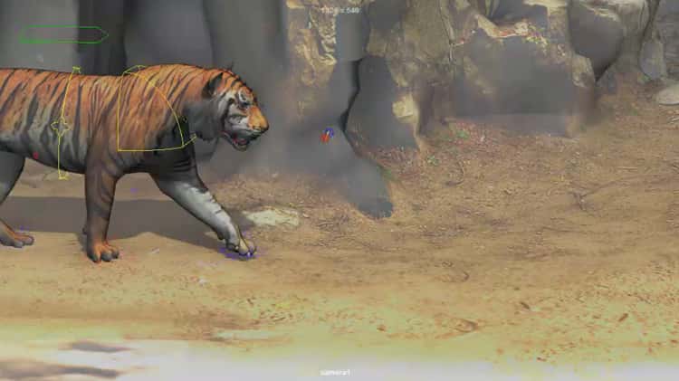 CG Bengal Tiger Animation 