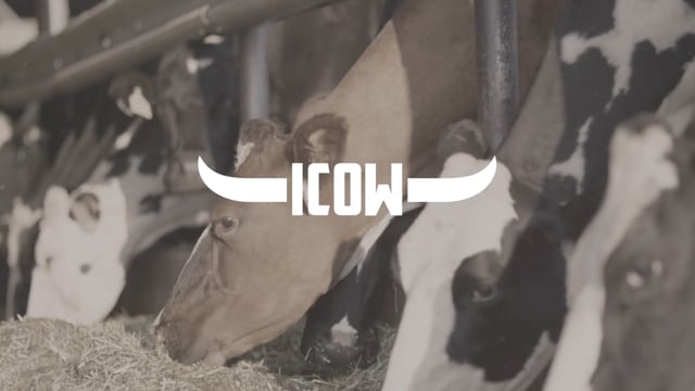 3D Visualization Samples - Impatient Cow Productions - 2017 Reel on Vimeo
