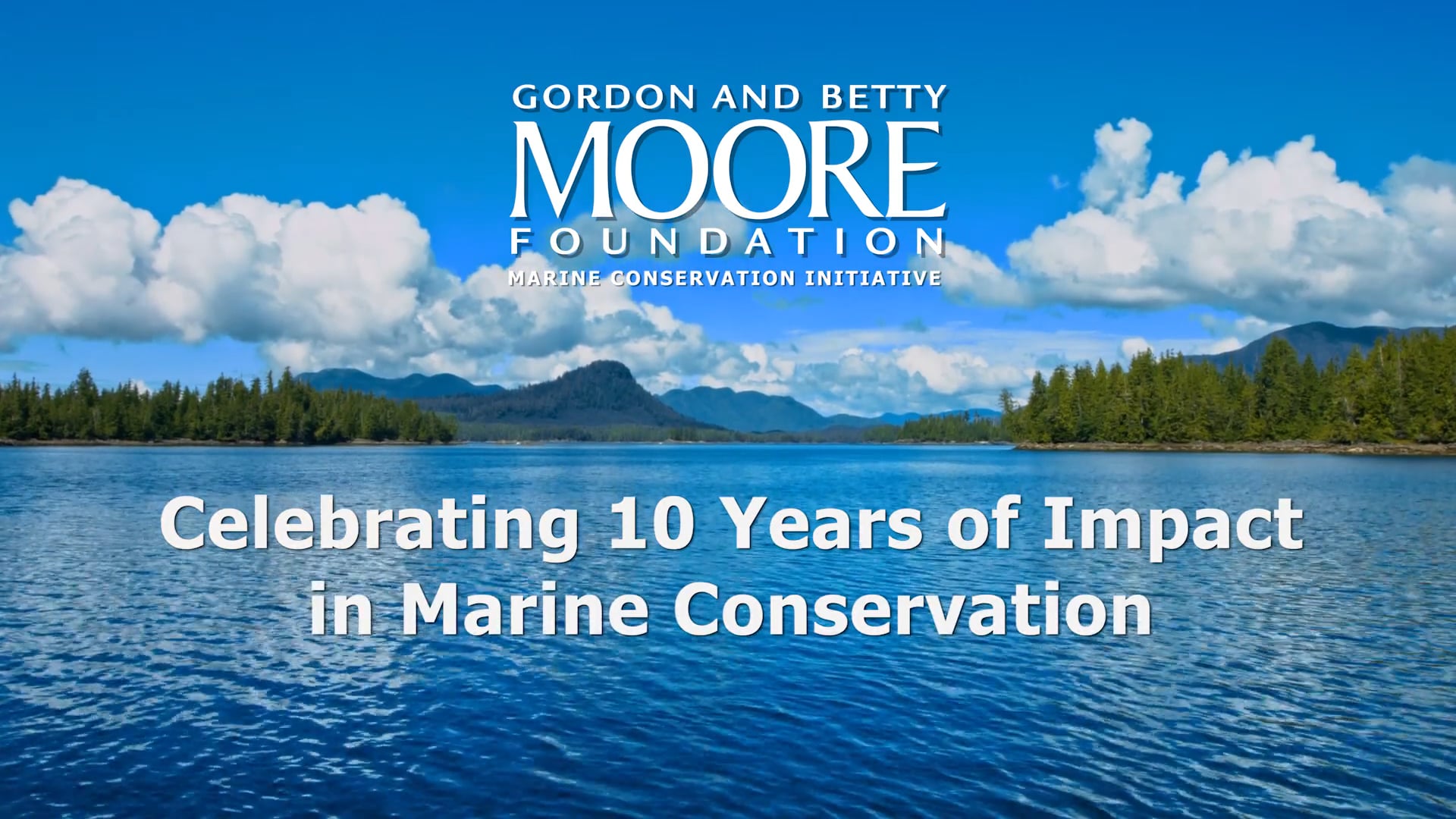 Celebrating 10 Years of Marine Conservation