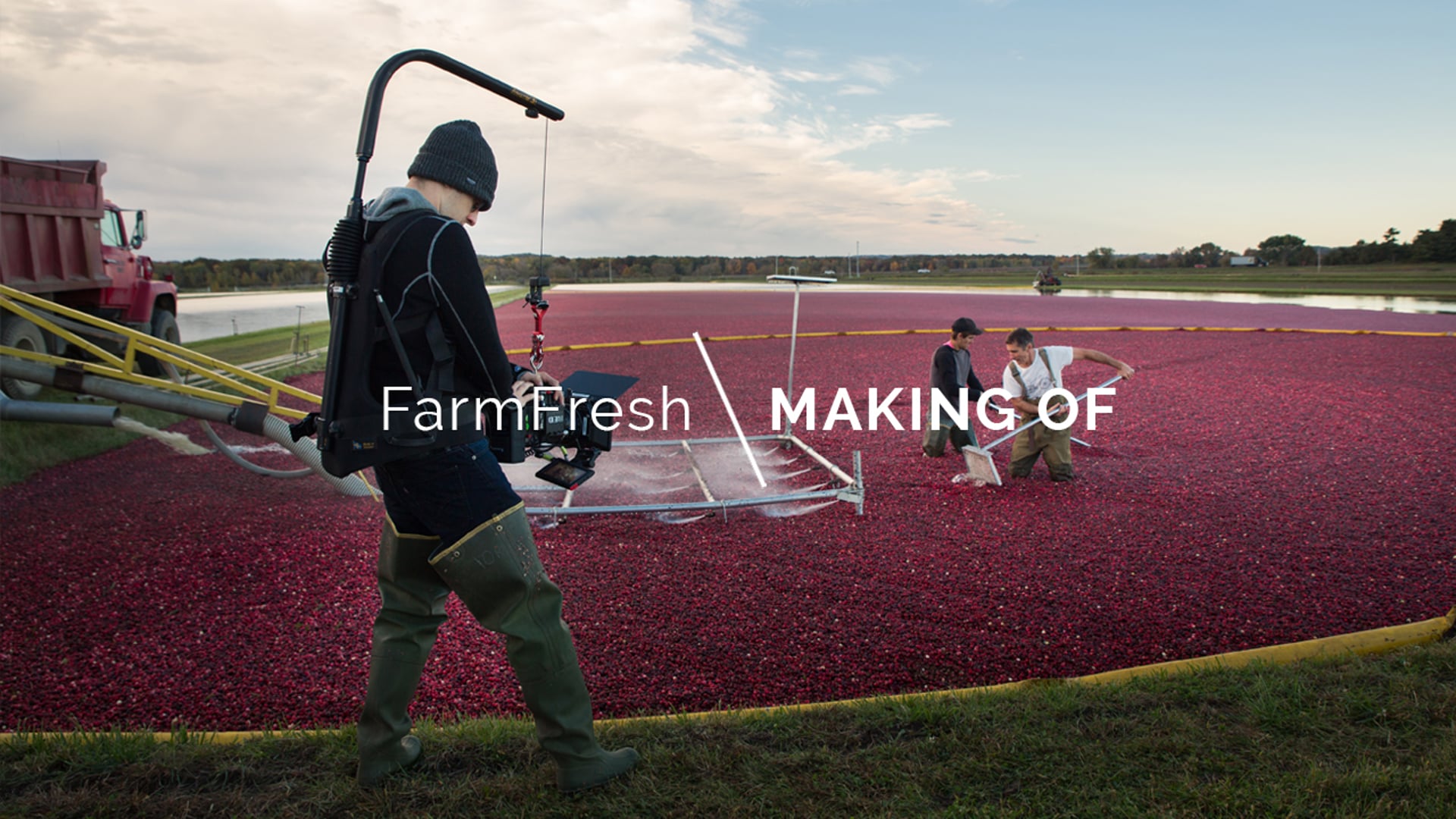 BTS -Farm Fresh in Wisconsin