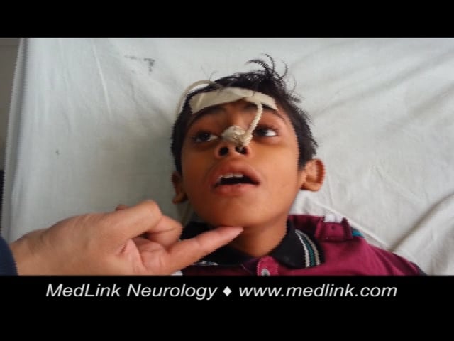 Tanaka様 Sakai Kikumori - Tanaka Limited - Aogami Super - Mirror Polish