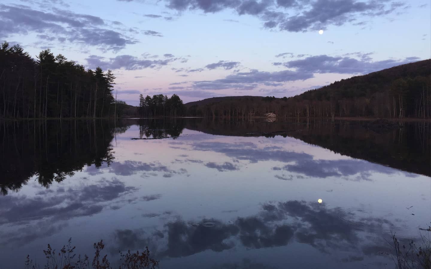 Yankeetown Pond Project on Vimeo