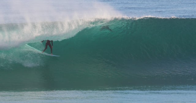 Ryland Rubens 15 years old 2015 Tunes by Raiju and Kutuup from Bryan Johnson