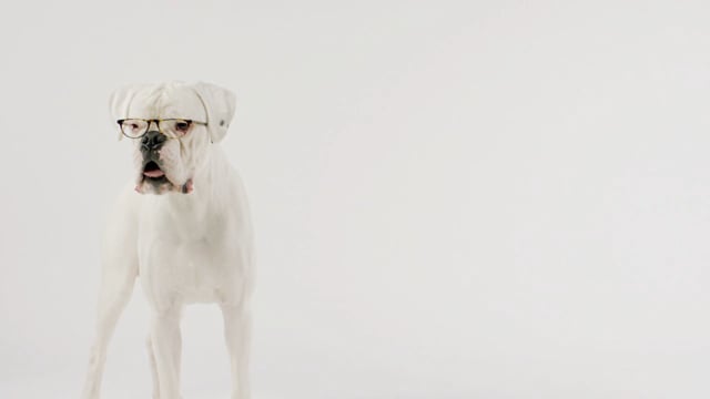 Related Embedded Video Item Thumbnail