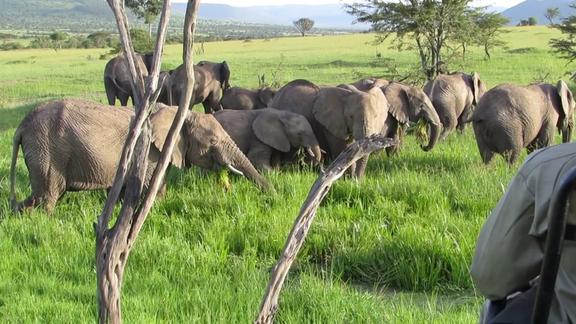 Kleins Camp, Northern Serengeti