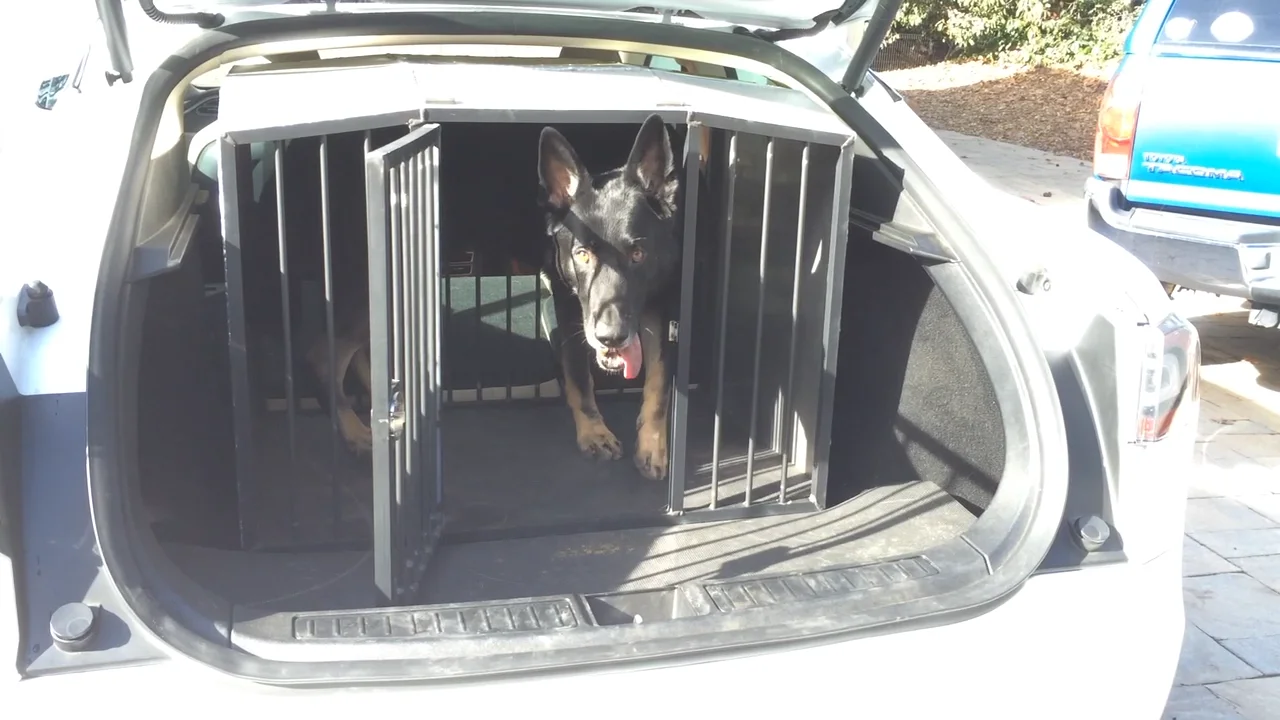 Tesla sales dog cage