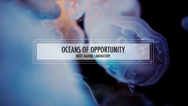 "Oceans of Opportunity" Fundraiser | MOTE Marine Laboratory