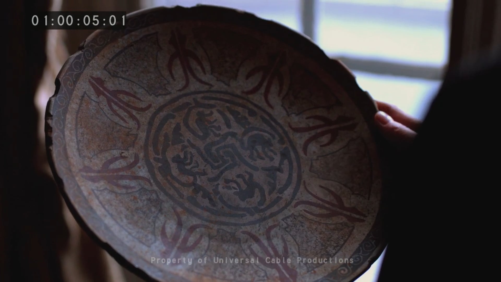 12 monkeys striking woman