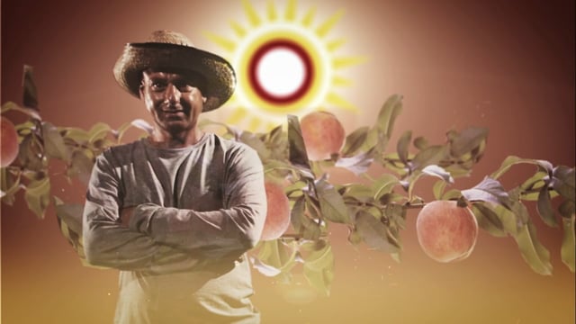 University of California, Berkeley - Customer Success Story