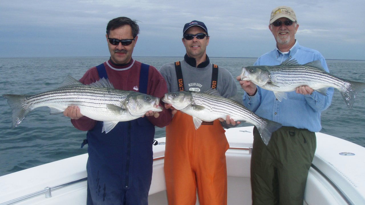 May Striper Fishing in Buzzard's Bay on Vimeo