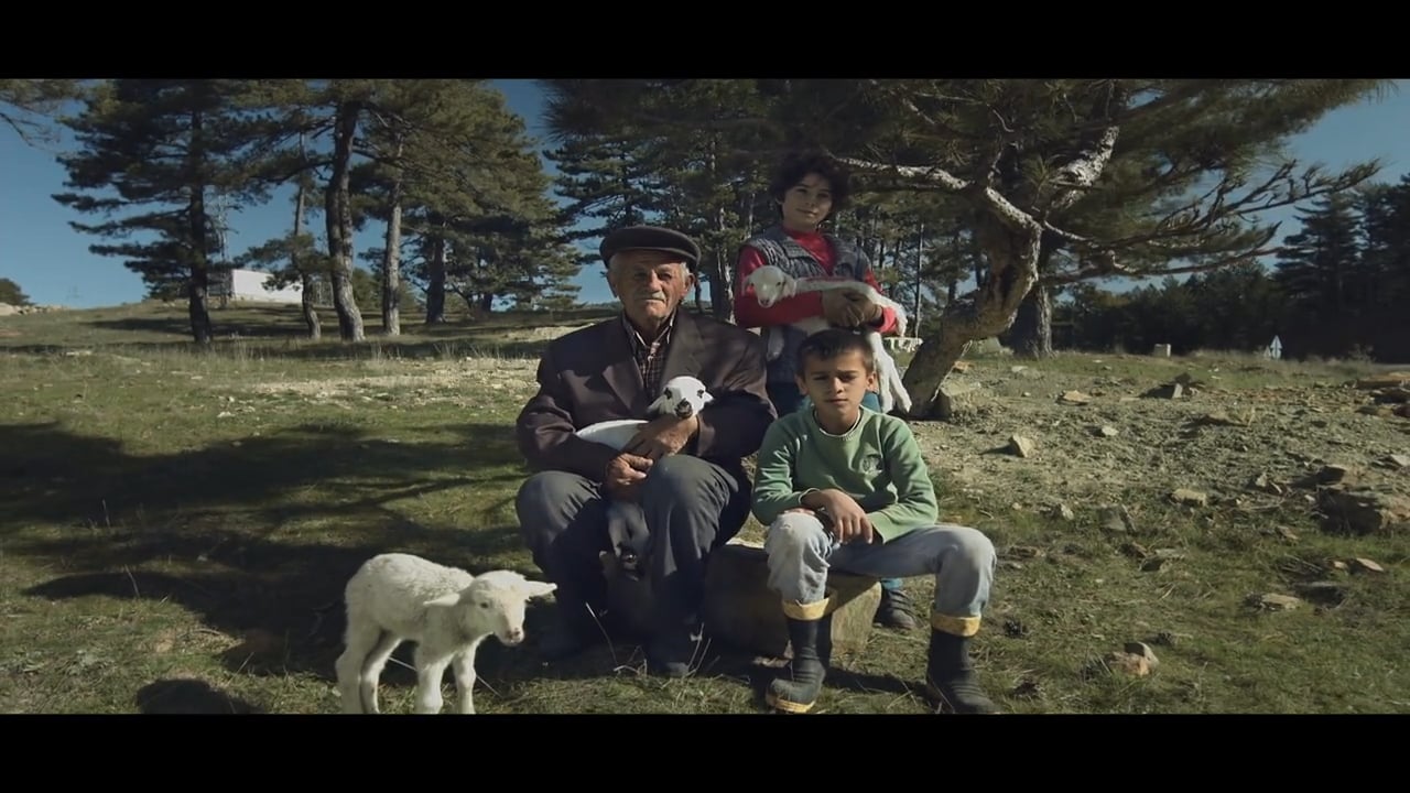 SEKERBANK - AİLE ÇİFTÇİLİĞİ