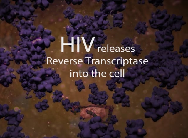 HIV and Reverse Transcriptase Animation by encephalo Creative Studios |  Medical Illustration & Animation