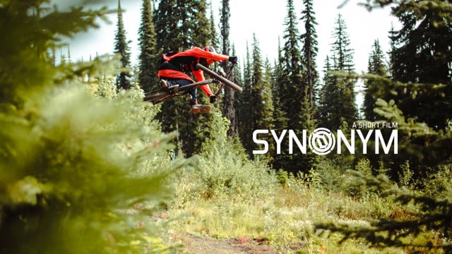 Deity Synonym Featuring Bas van Steenbergen from deity