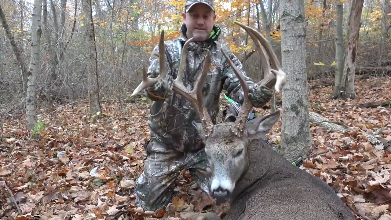 Whitetail Edge Teaser