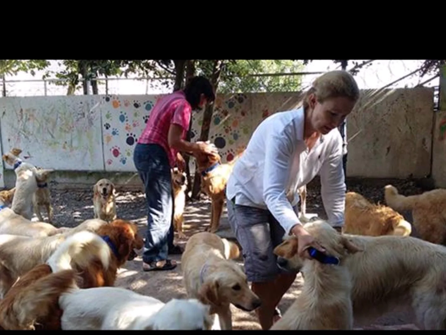 EGRR Turkey Dog Rescue on Vimeo