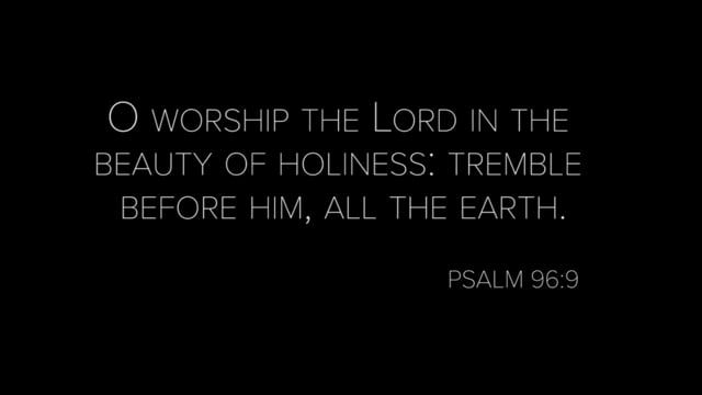 video image